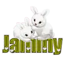 White Bunnies: Jammy