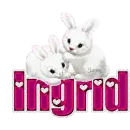 White Bunnies: Ingrid