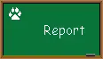 report animal abuse