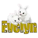 White Bunnies: Evelyn