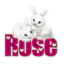 White Bunnies: Rose