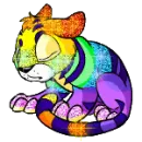 rainbow kougra