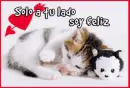 love amor