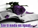 love amor