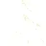 parchment