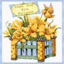box of flowers