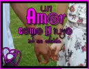 love amor