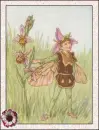 fairy