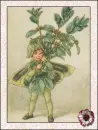 fairy