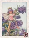 fairy