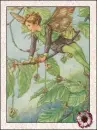 fairy