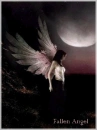 Derk Angel
