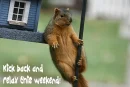 relaxing weekend