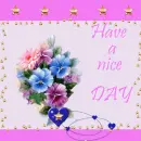 have
