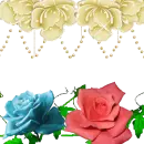 Viev