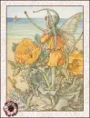 fairy