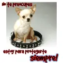 actitud