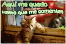 actitud