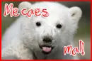 actitud