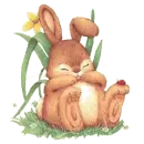 sleepy bunny