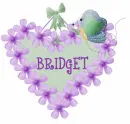BRIDGET