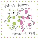 friends amigos(as) amistad