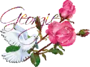 White dove - Georgie - fg