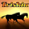 Horses running