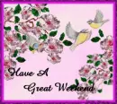 weekend birds