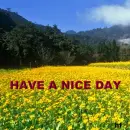 Have a nice Day