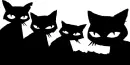 cats