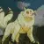 Kirara Transform