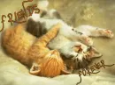 kittens sleeping
