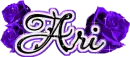 Ari Purple Roses