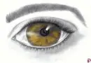 my drawing