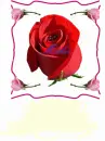 red flower to mum
