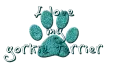 yorkie terrier