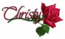 Red rose Christy