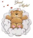 Good Night bear