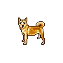doggy