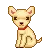 cute doggy