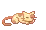 sleepy cat
