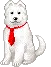 dog with red tie
