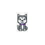 cute cat