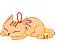 cat sleeping