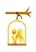 bird in cage