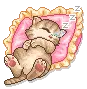 cat sleeping