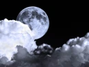Night Sky