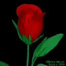 flor flower