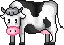 cow